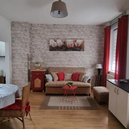 Appartement Meuble Romain Niederbronn-les-Bains Kültér fotó